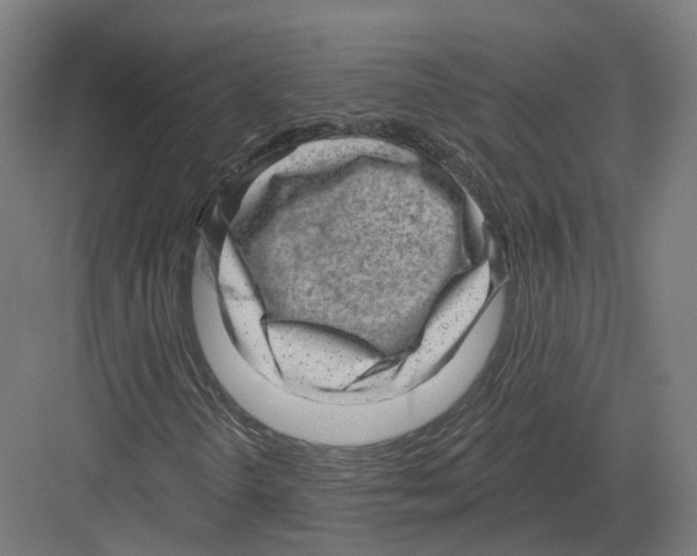 X0000082161298200702162224