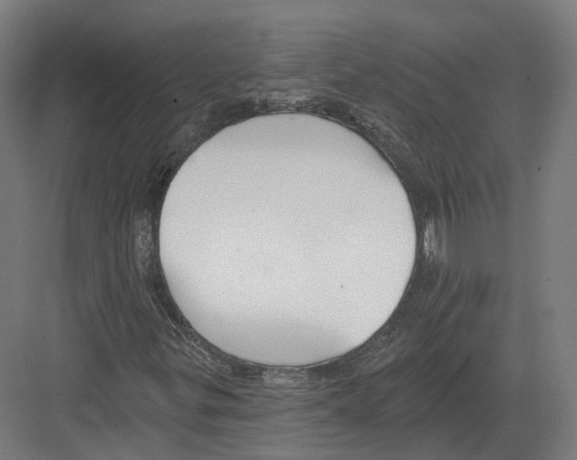 X0000082161299200702162224