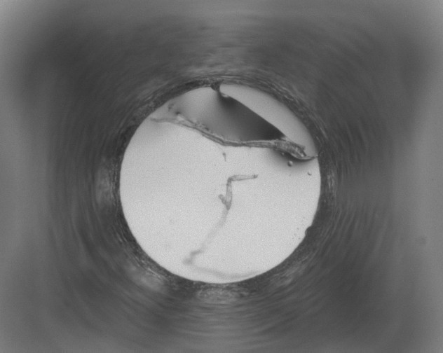 X0000082161300200702162224