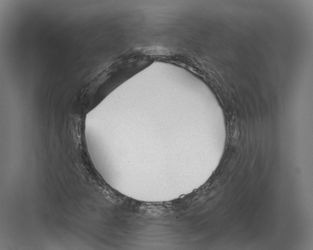 X0000082161301200702162224