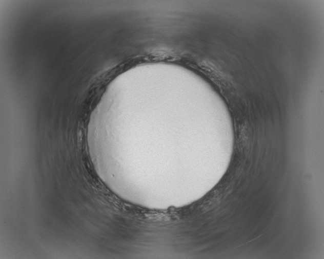 X0000082161302200702162224