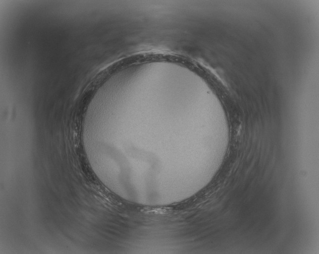 X0000082161303200702162224