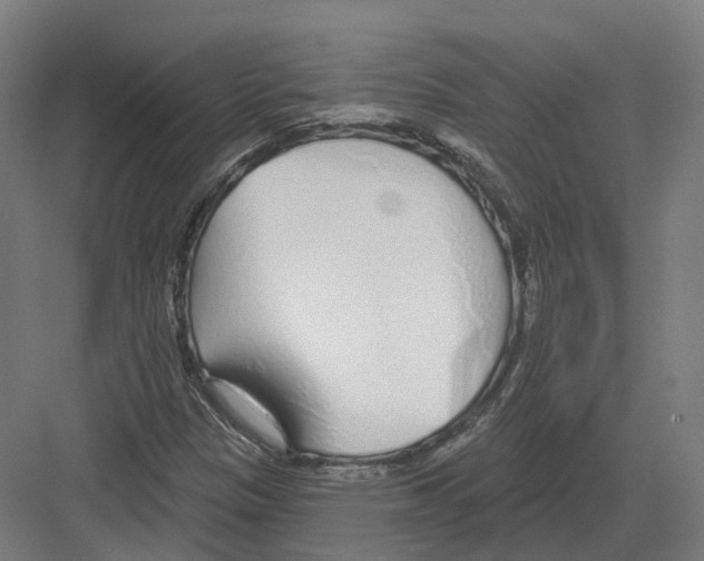 X0000082161305200702162224