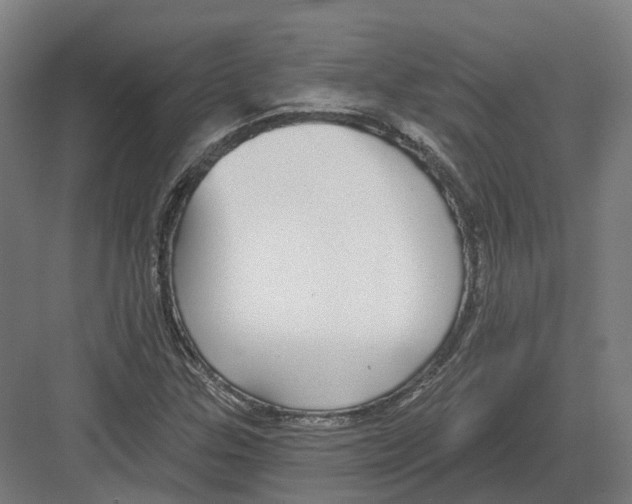 X0000082161307200702162224