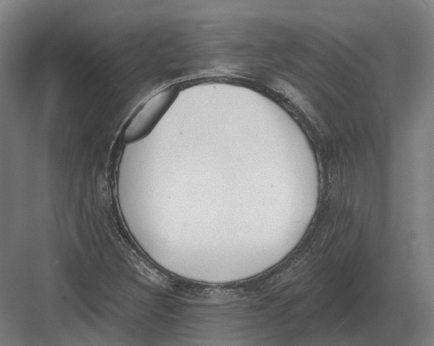 X0000082161308200702162224