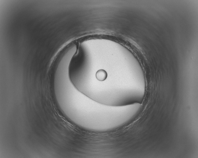 X0000082161310200702162224