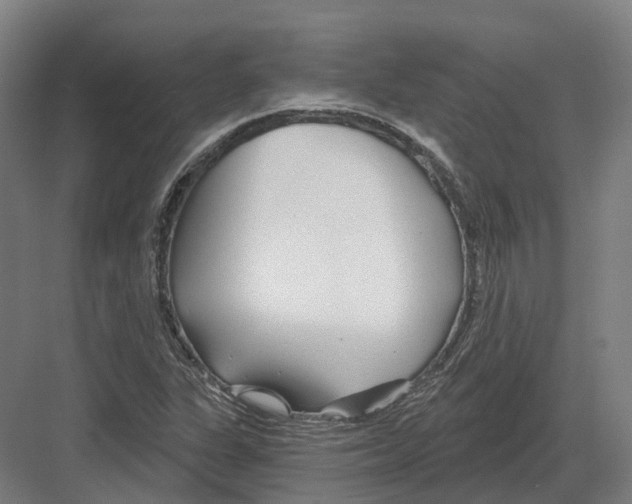 X0000082161311200702162224