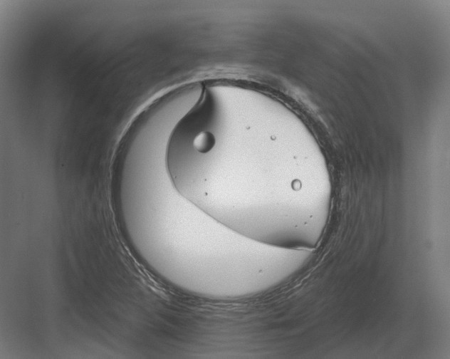 X0000082161312200702162224