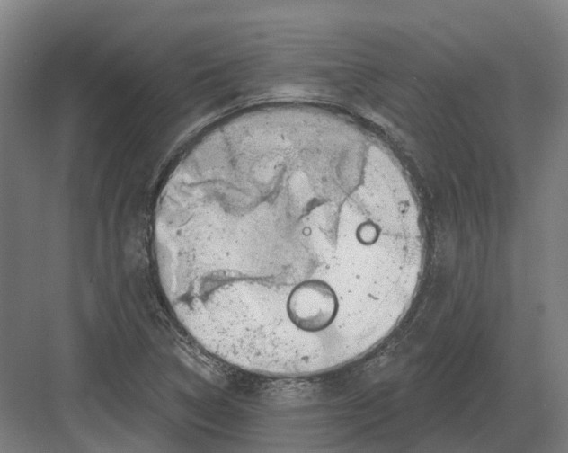 X0000082161314200702162224