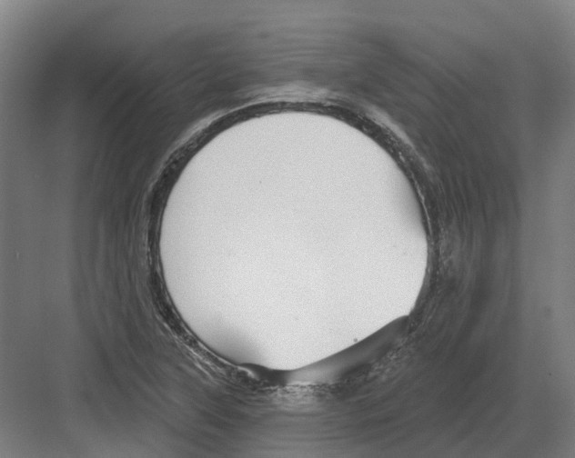 X0000082161315200702162224