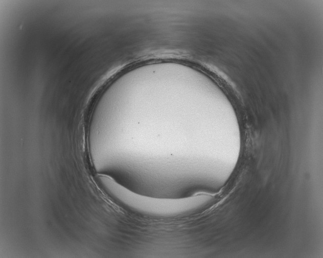 X0000082161317200702162224