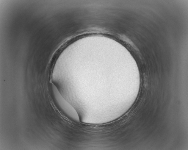 X0000082161318200702162224