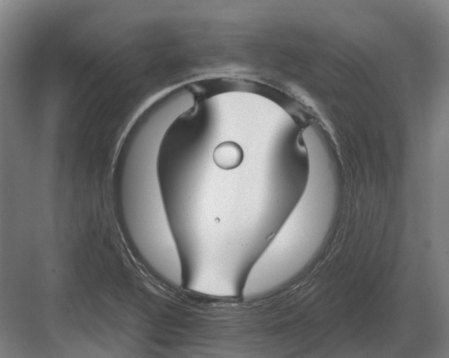 X0000082161320200702162224