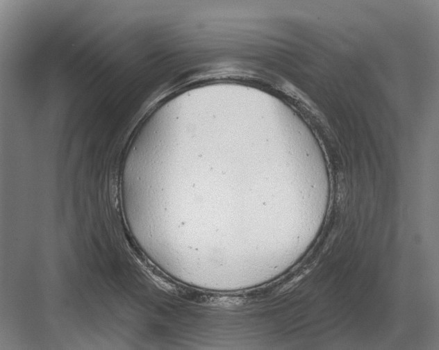 X0000082161321200702162224