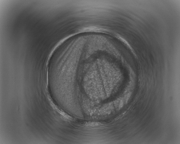 X0000082161323200702162224