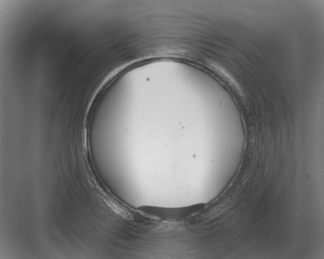 X0000082161324200702162224