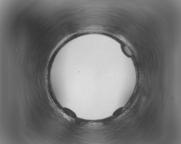 X0000082161325200702162224