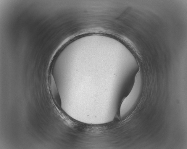 X0000082161326200702162224