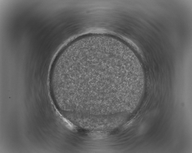 X0000082161327200702162224