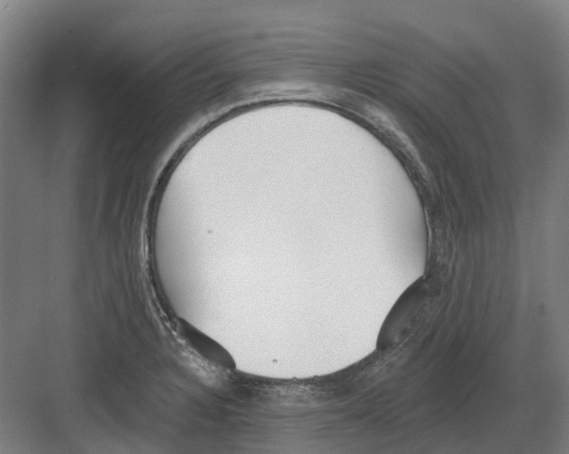 X0000082161328200702162224