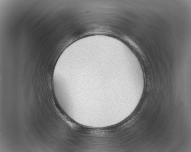 X0000082161329200702162224