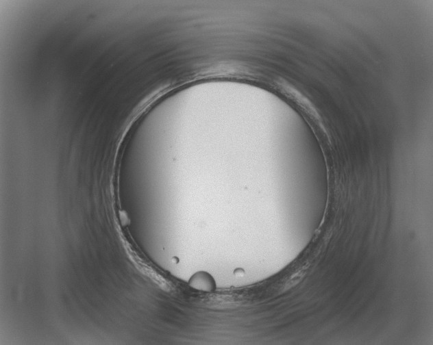 X0000082161330200702162224