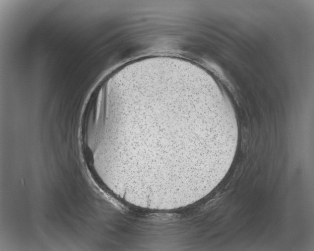 X0000082161331200702162224