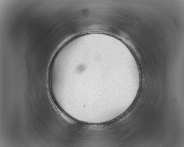 X0000082161333200702162224