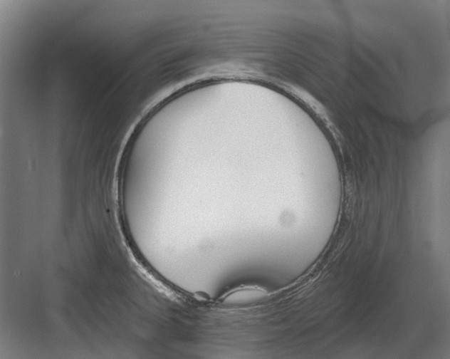 X0000082161335200702162224