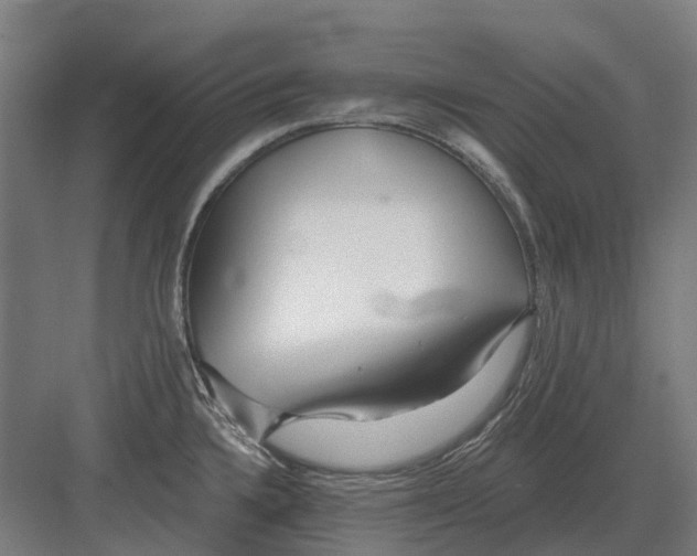 X0000082161336200702162224