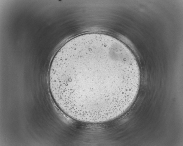 X0000082161338200702162224