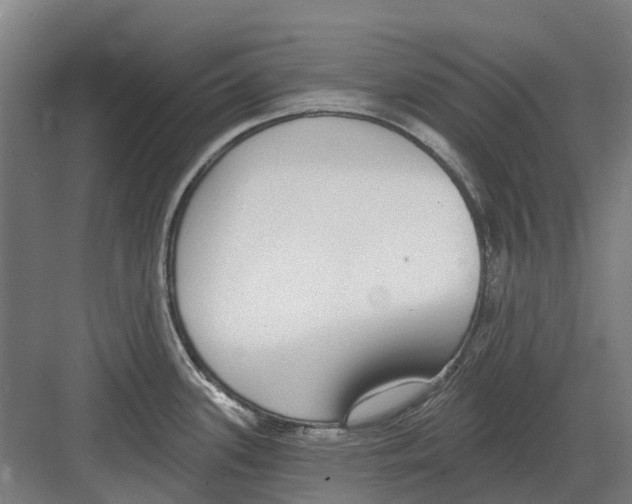 X0000082161339200702162224