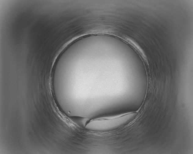 X0000082161340200702162224