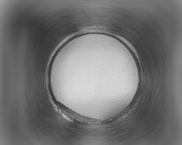 X0000082161341200702162224