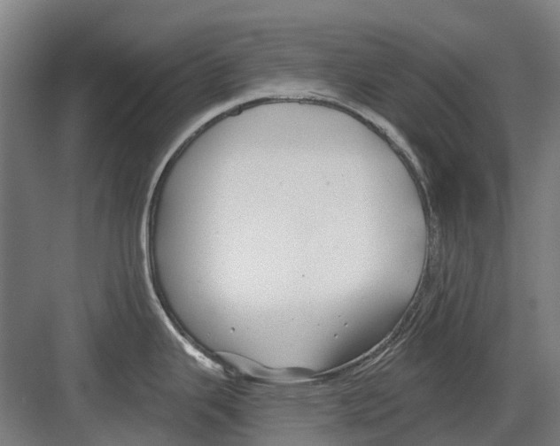 X0000082161343200702162224