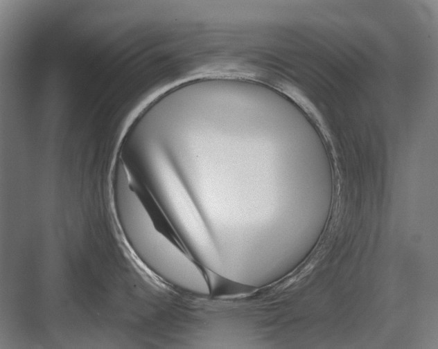 X0000082161344200702162224