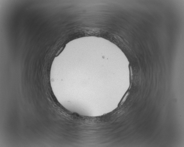 X0000082161345200702162224