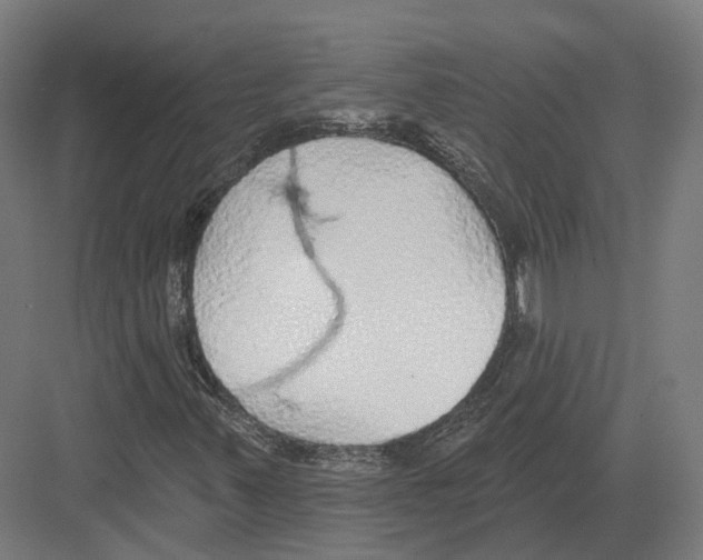 X0000082161347200702162224