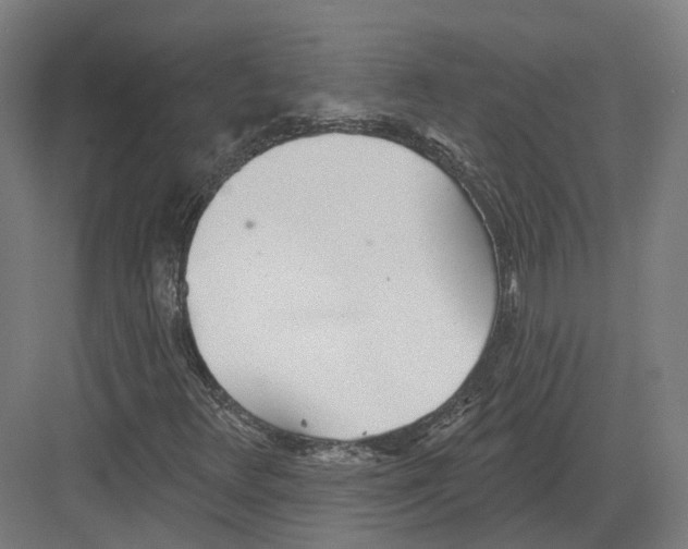 X0000082161348200702162224