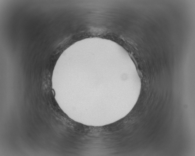 X0000082161349200702162224