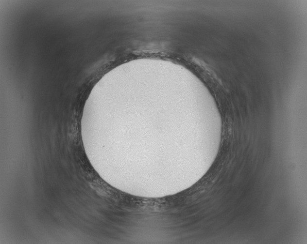 X0000082161350200702162224