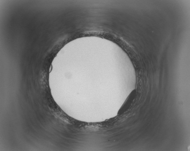 X0000082161351200702162224