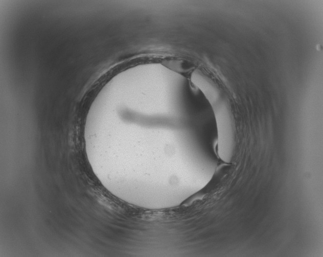 X0000082161352200702162224