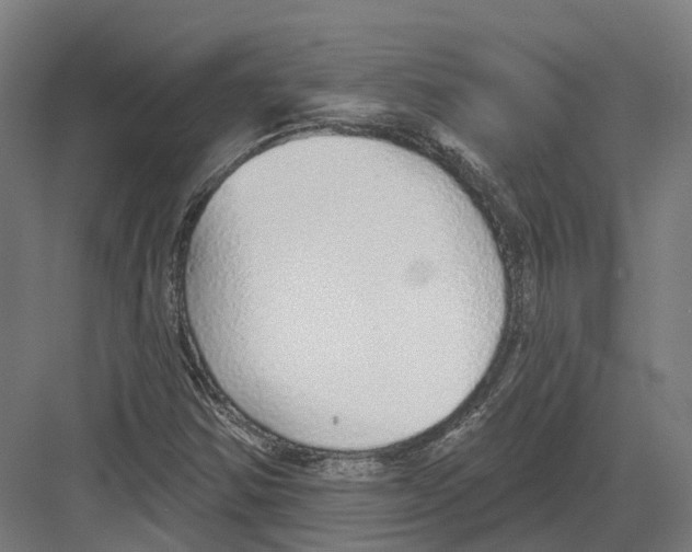 X0000082161354200702162224