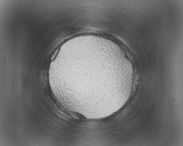 X0000082161355200702162224