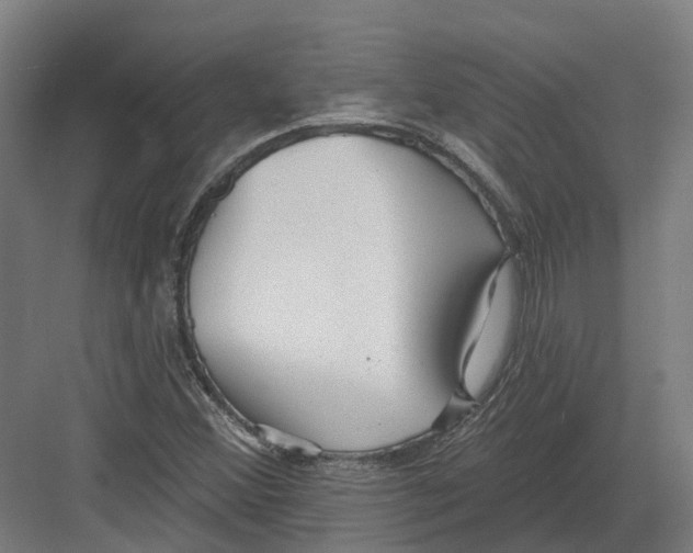 X0000082161356200702162224