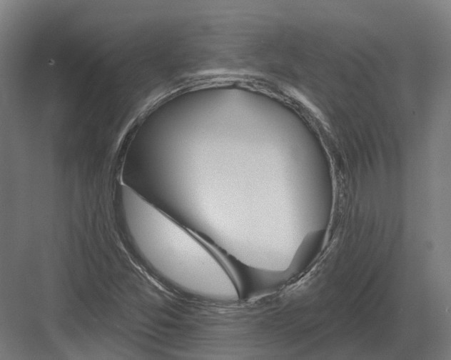 X0000082161357200702162223