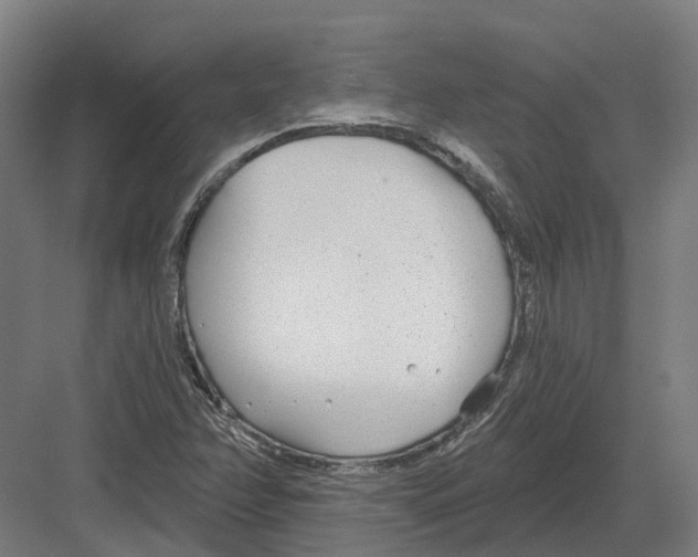 X0000082161358200702162223