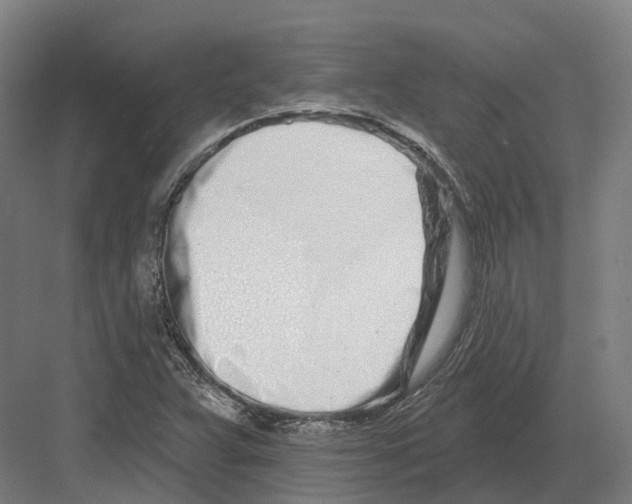 X0000082161359200702162223