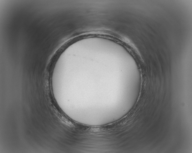 X0000082161360200702162223